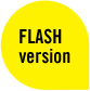 Flash Version